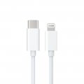 Type C To 8Pin Cable For iPhone In White Budi 1M
