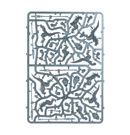 Warhammer Age of Sigmar: Spearhead: Seraphon (70-19) Age of Sigmar FoneFunShop