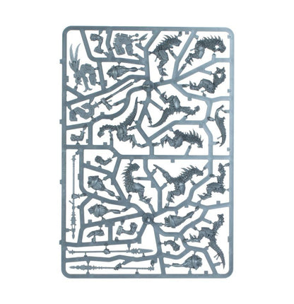 Warhammer Age of Sigmar: Spearhead: Seraphon (70-19) Age of Sigmar FoneFunShop