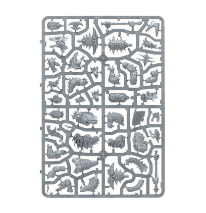 Warhammer Age of Sigmar: Spearhead: Seraphon (70-19) Age of Sigmar FoneFunShop