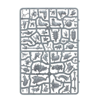 Warhammer Age of Sigmar: Spearhead: Seraphon (70-19) Age of Sigmar FoneFunShop