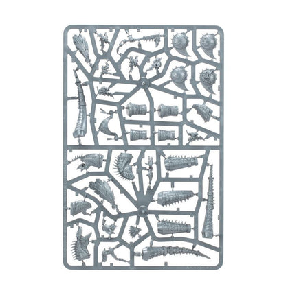 Warhammer Age of Sigmar: Seraphon: Aggradon Lancers (88-18) Age of Sigmar FoneFunShop