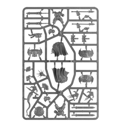 Warhammer Age of Sigmar: Stormcast Eternals: Dracothian Guard (96-24) Age of Sigmar FoneFunShop