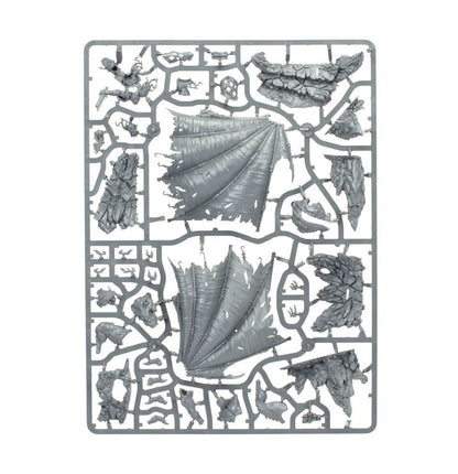 Warhammer Age of Sigmar: Slaves To Darkness - Be'lakor the Dark Master (97-19) Age of Sigmar FoneFunShop