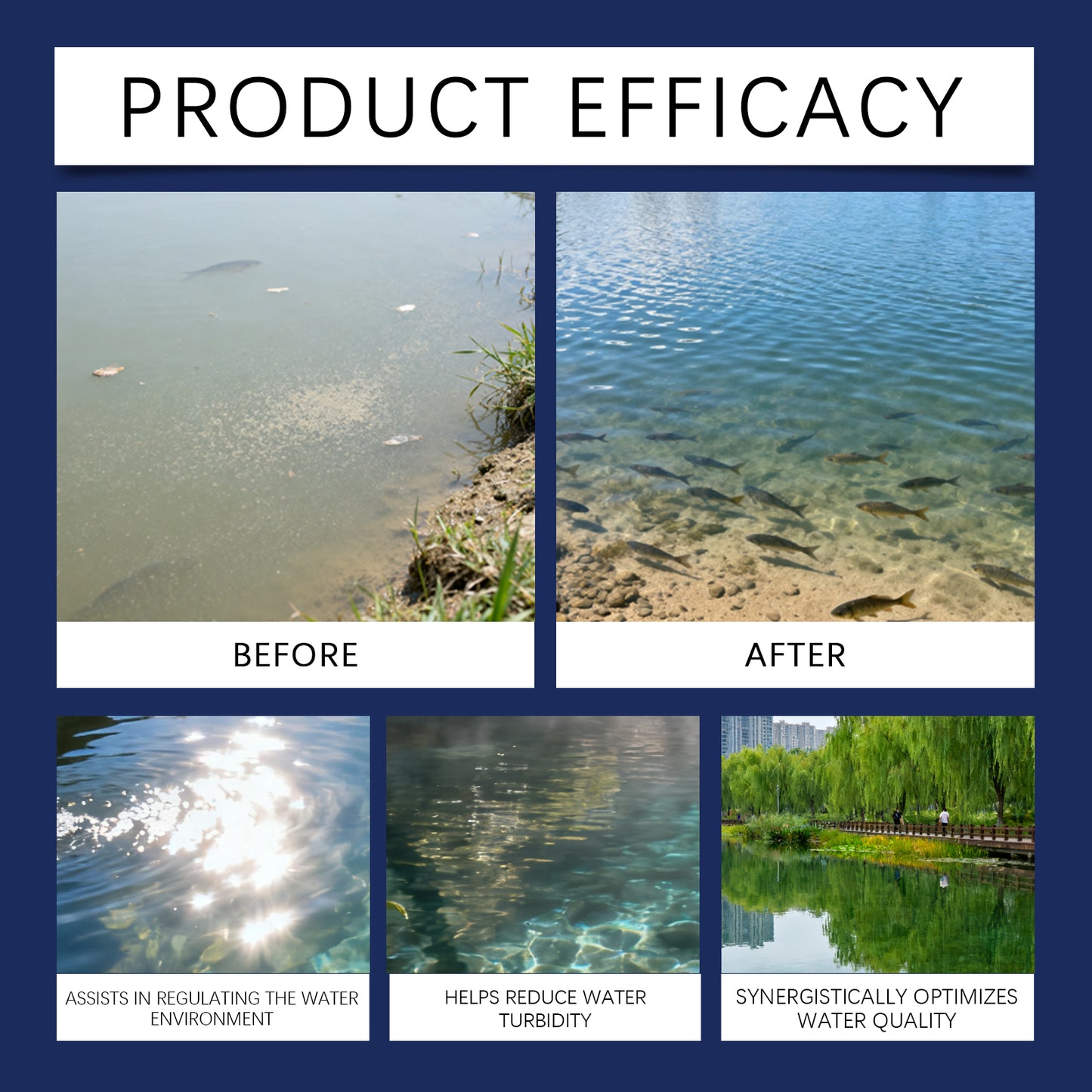 Aqua Guardian Pro Formula Pond Aquarium Water Clarifier Clear Cloudiness Aquarium FoneFunShop