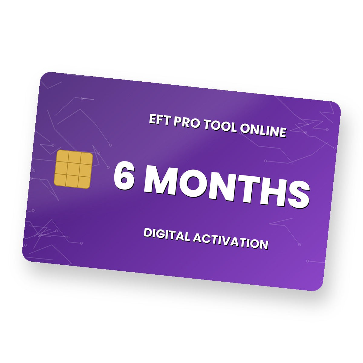 EFT Pro Tool 6 Months Online Account digital activation card