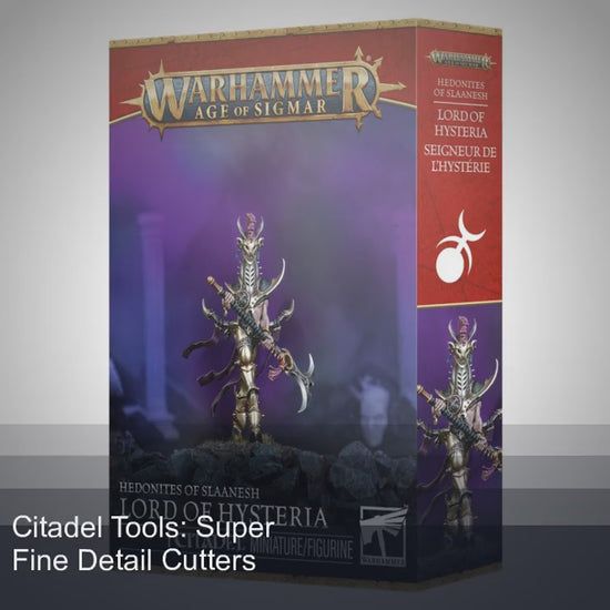 Warhammer Age of Sigmar - Lord of Hysteria (83-118) Miniature FoneFunShop