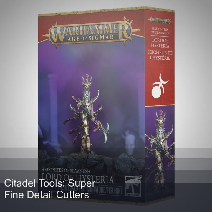 Warhammer Age of Sigmar - Lord of Hysteria (83-118) Miniature FoneFunShop
