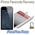 iPhone Passcode Recovery Service