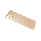 Glass Back For iPhone 12 Pro Plain in Gold